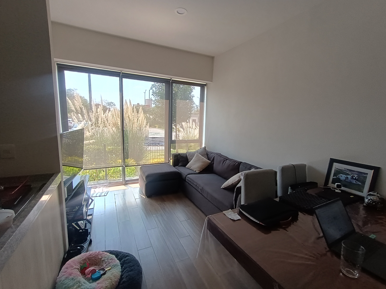 Habi inmobiliaria
