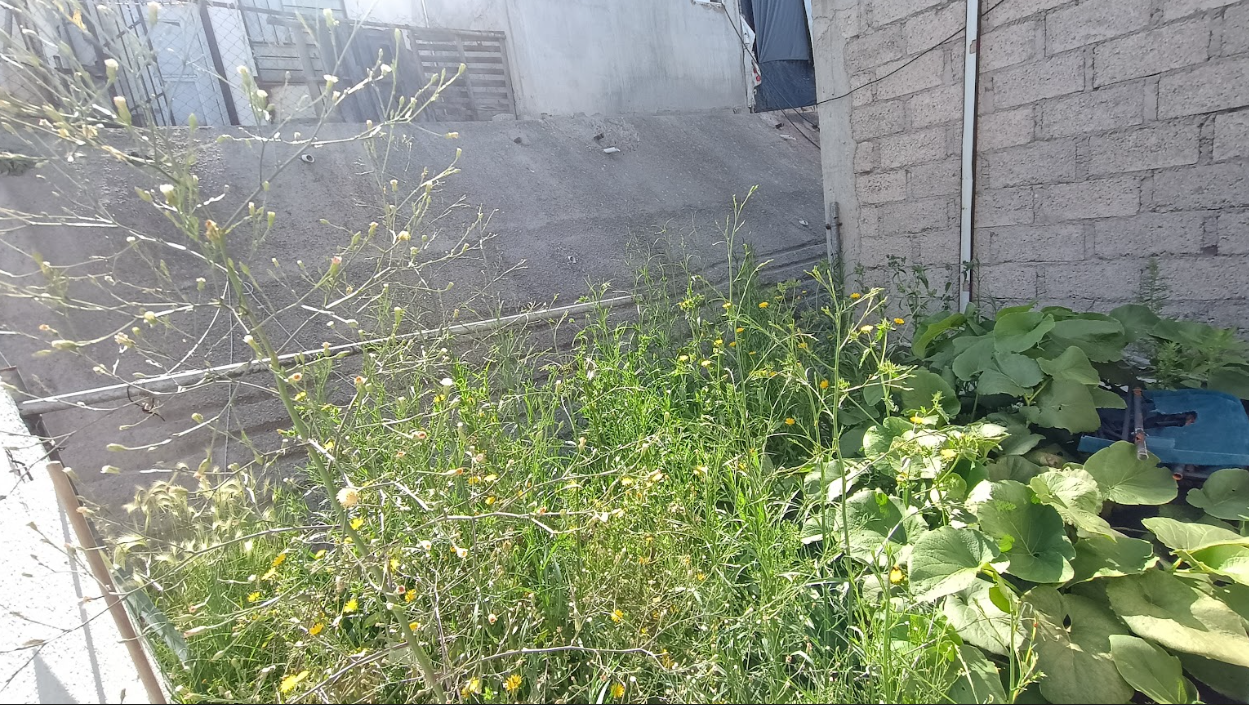 Habi inmobiliaria