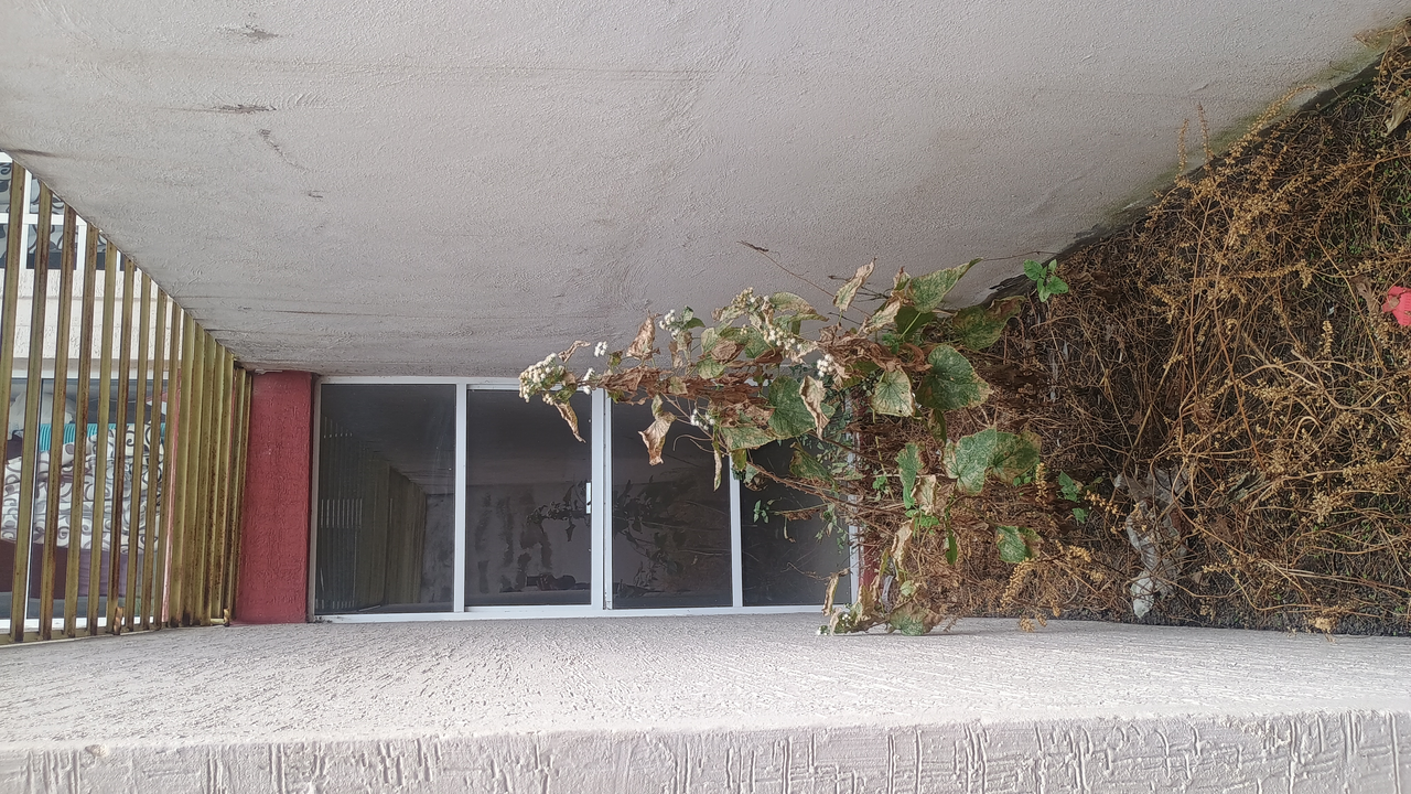 Habi inmobiliaria