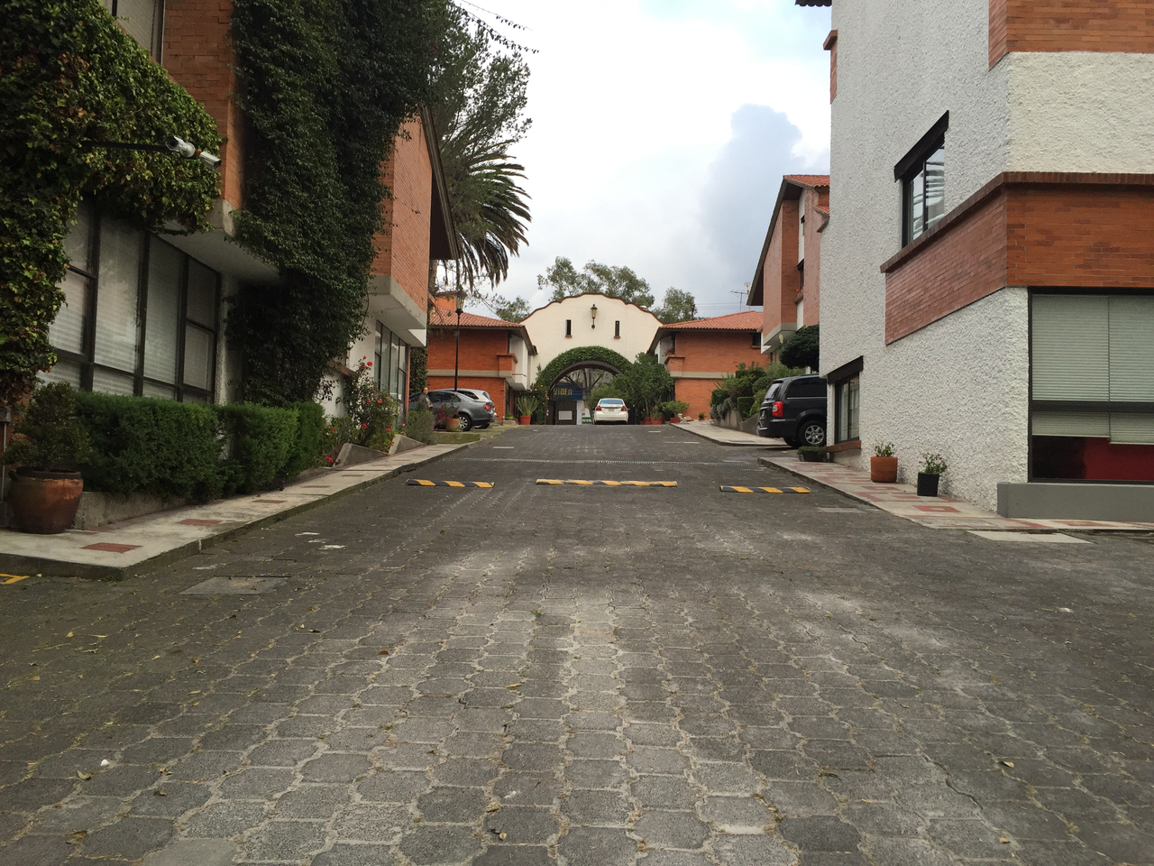 San José del Olivar