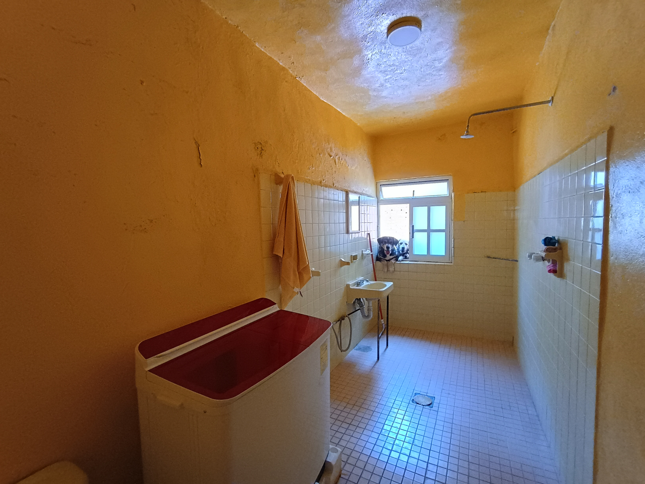Habi inmobiliaria