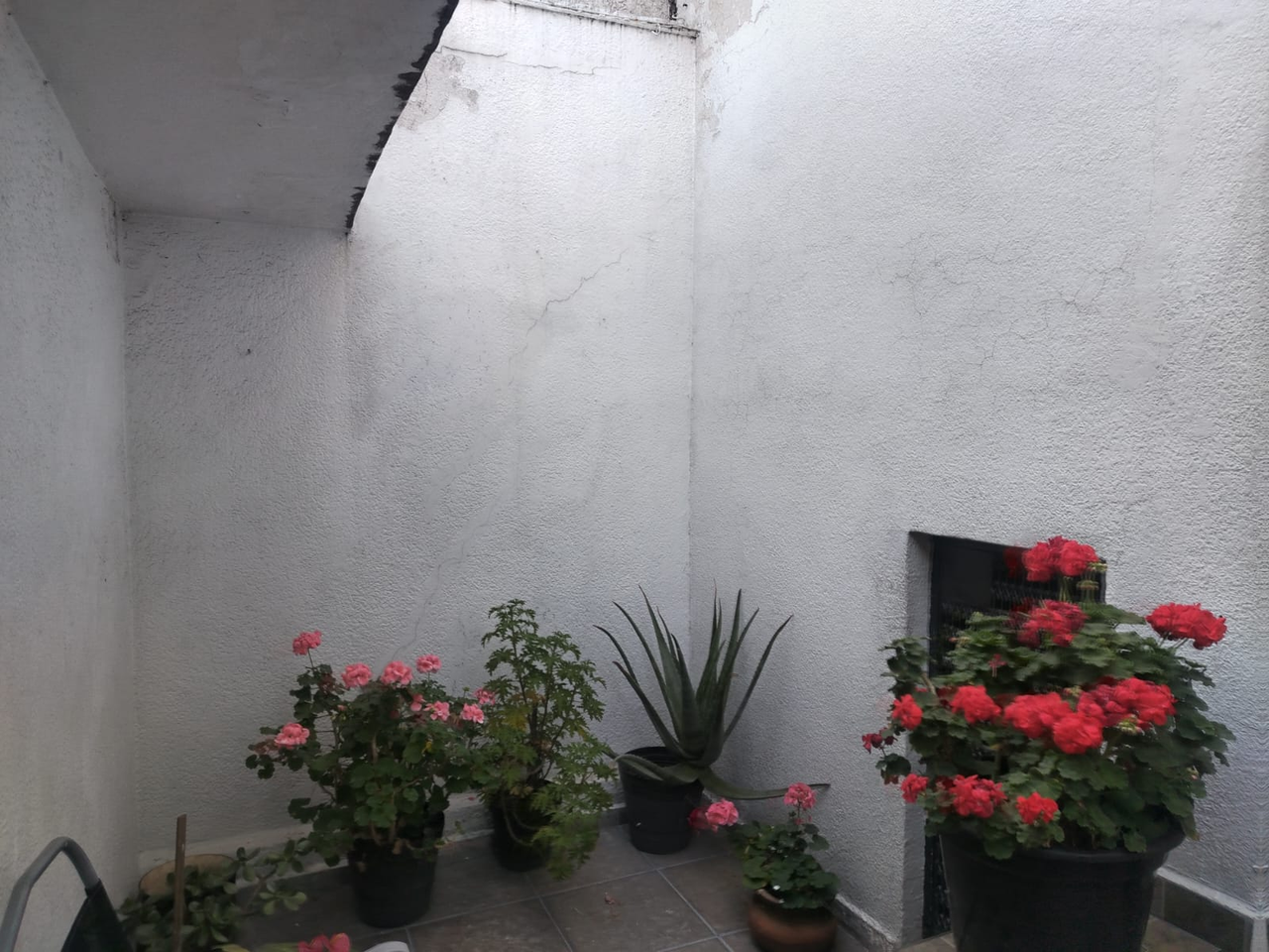De la Ribera 50