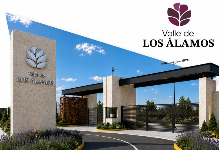 JAVER - VALLE DE LOS ALAMOS - ÁGUILA ELITE