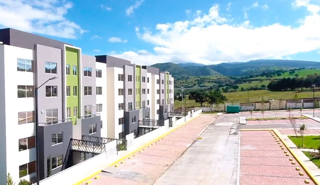 ARA - CUMBRES DE LA MONTAÑA - GARDENIA PB