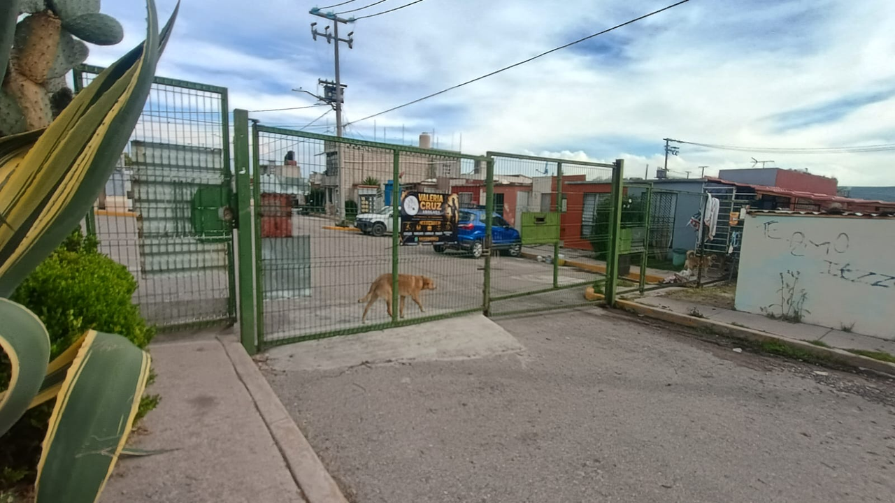 Tercera Cerrada De Copilco