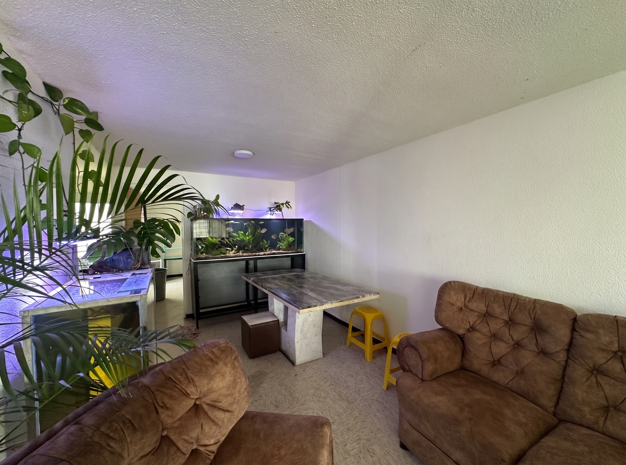 Habi inmobiliaria
